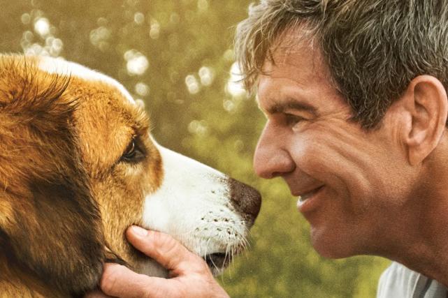 “beats365”5-0胜利!这位亚洲兄弟的冠军联赛攻击导致英超联赛垫底 并为金球奖拉票(图1) beats365唯一官网