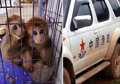 beats365唯一官网