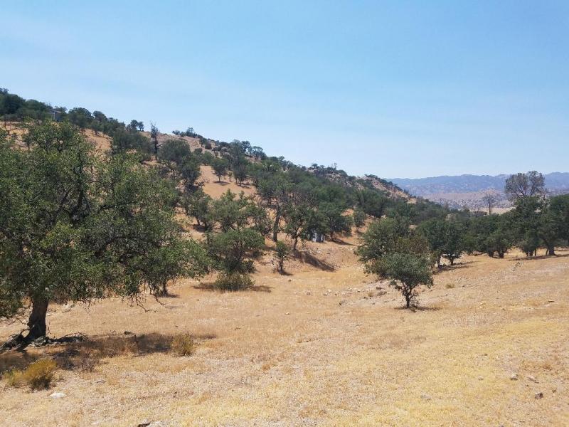 beats365|新型可穿戴设备“皮肤贴片”可通过汗水获取人类健康信息(图3)