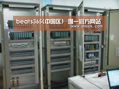 beat365平台入口案例展示五(图1)