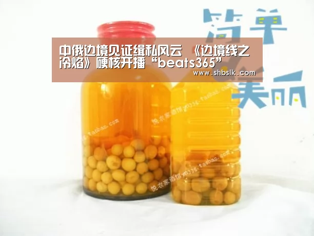 中俄边境见证缉私风云 《边境线之冷焰》硬核开播“beats365”(图3) beats365唯一官网